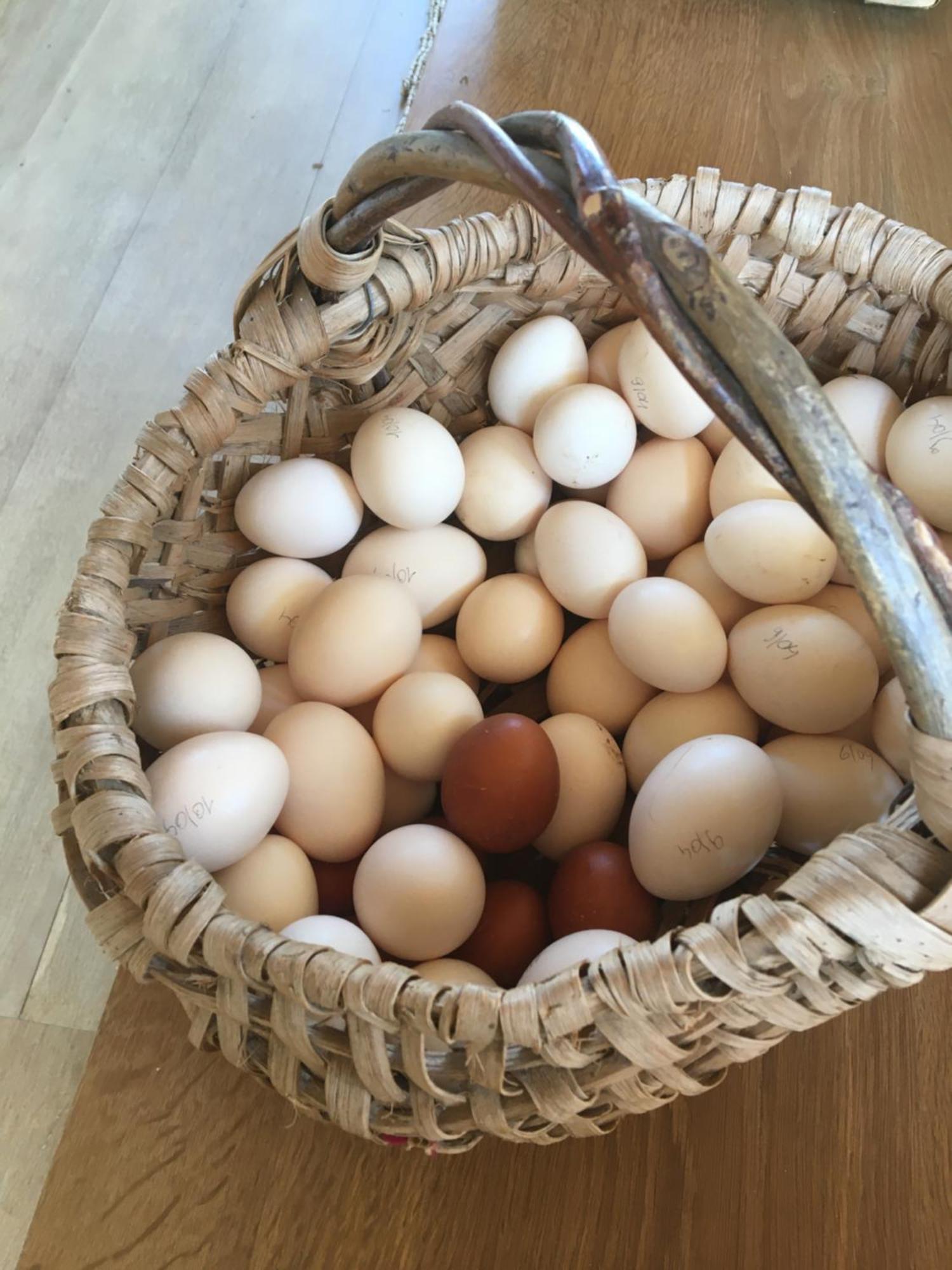 La Courbe La Queurie Bed & Breakfast エクステリア 写真