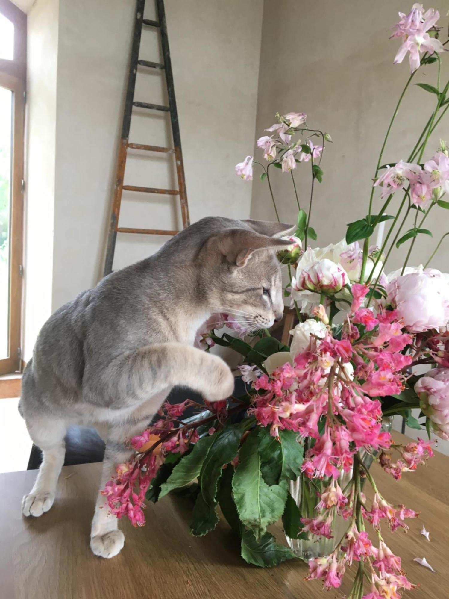 La Courbe La Queurie Bed & Breakfast エクステリア 写真